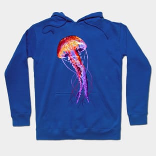 Jellyfish Hoodie